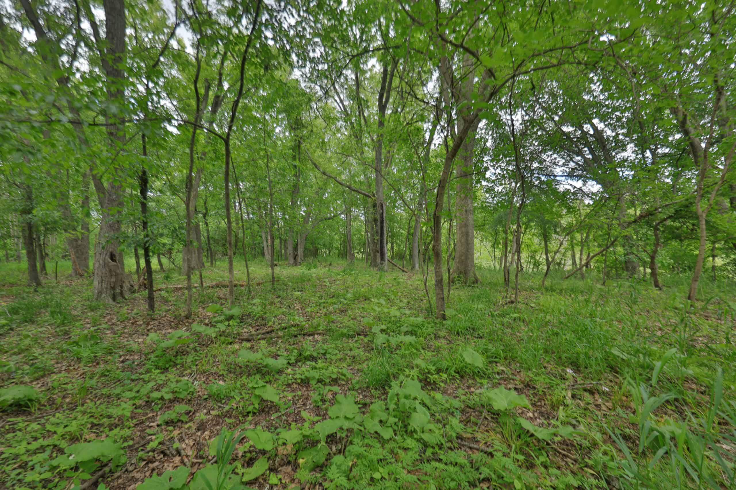 Rural Real Estate for Sale in Dane County, Wisconsin