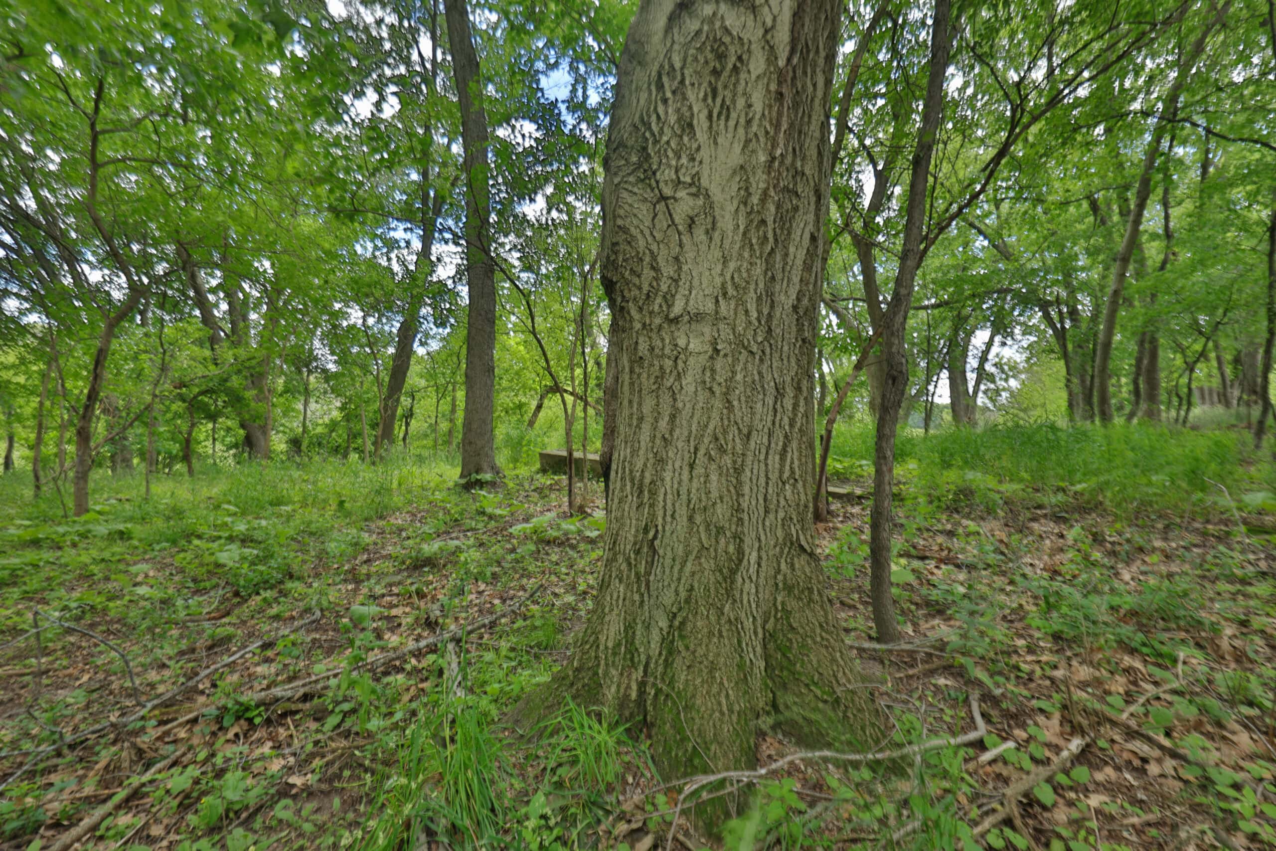 Rural Real Estate for Sale in Dane County, Wisconsin