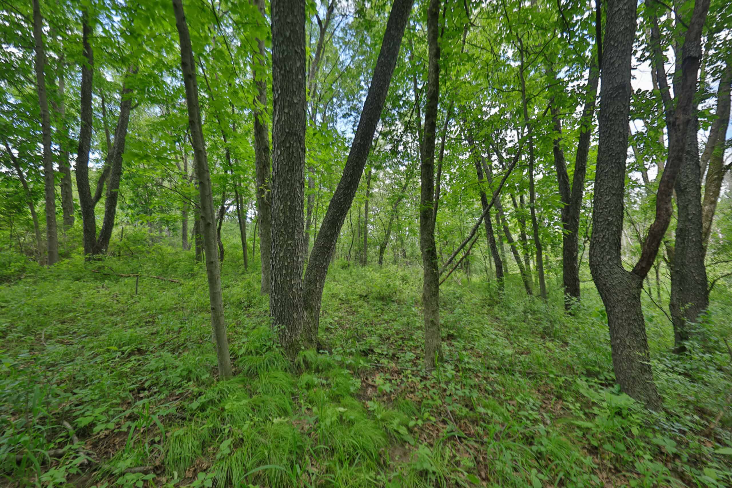 Rural Real Estate for Sale in Dane County, Wisconsin