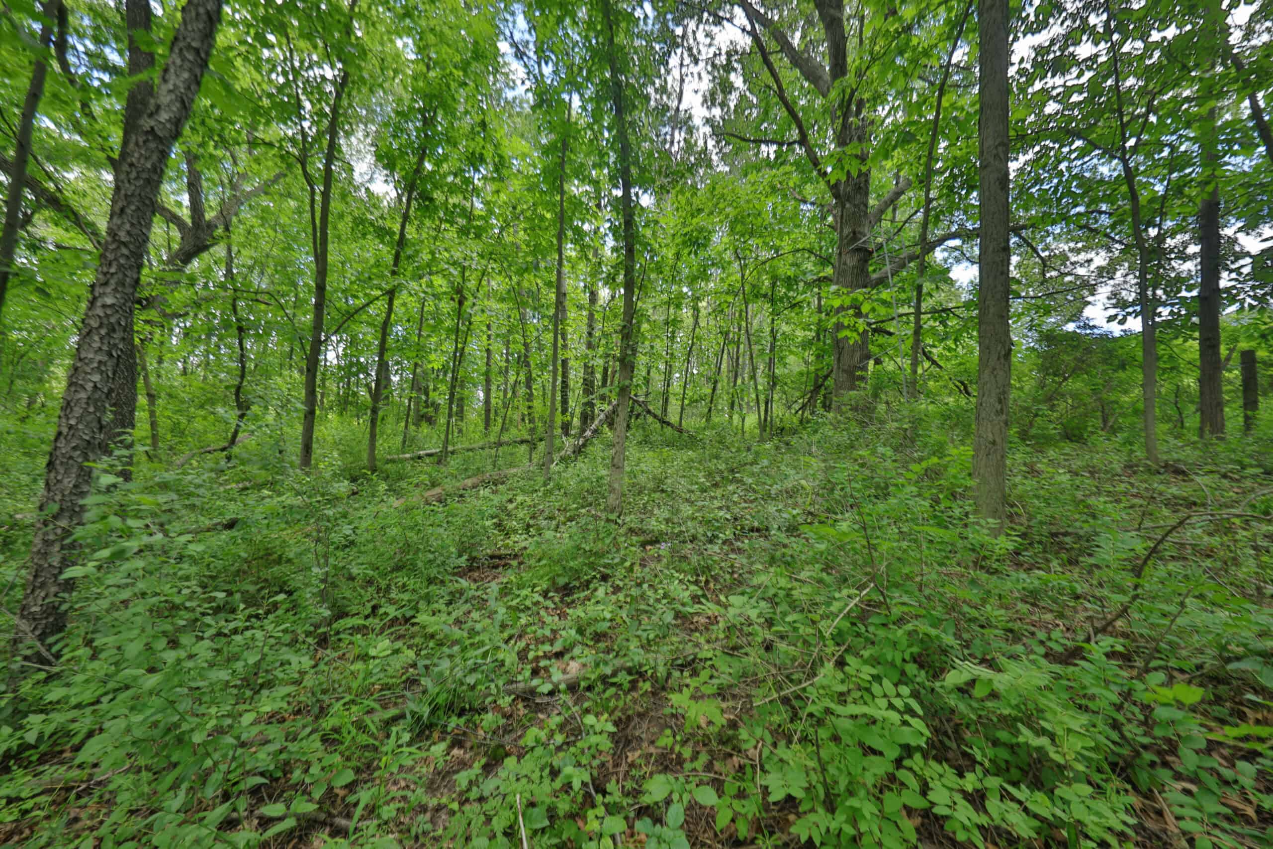 Rural Real Estate for Sale in Dane County, Wisconsin