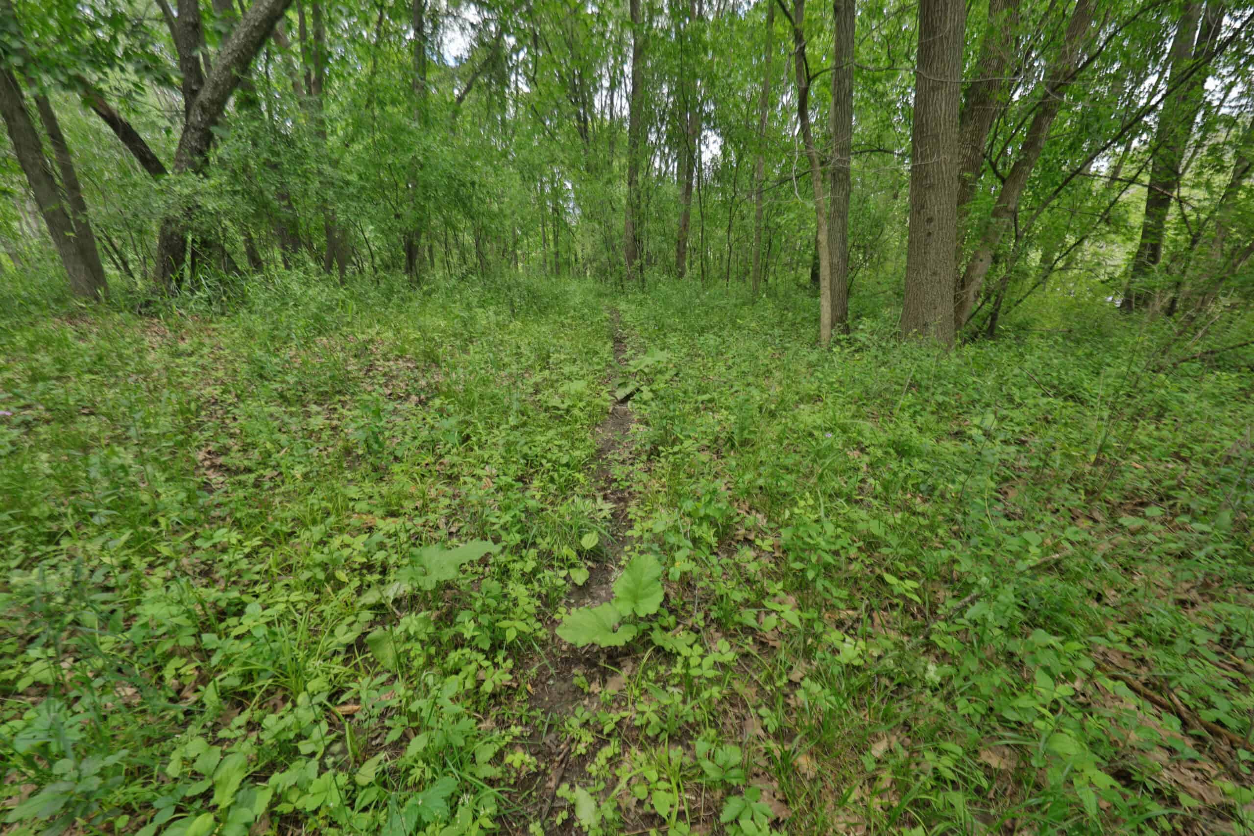 Rural Real Estate for Sale in Dane County, Wisconsin