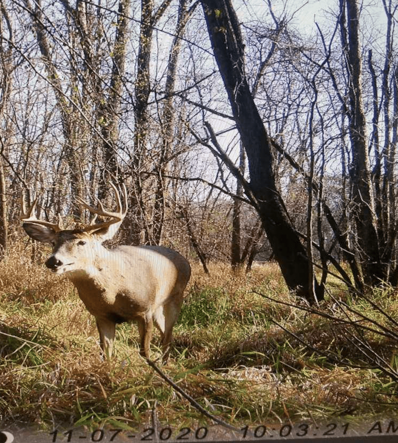 Rural Real Estate for Sale in Dane County, Wisconsin