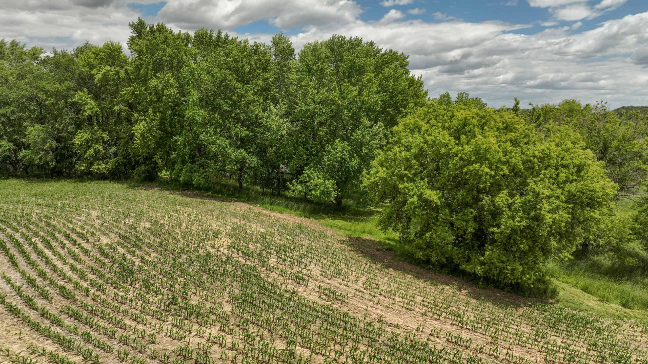 Rural Real Estate for Sale in Dane County, Wisconsin