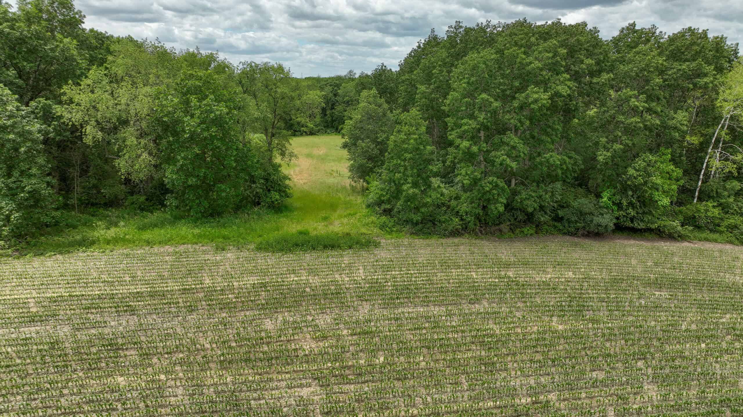 Rural Real Estate for Sale in Dane County, Wisconsin