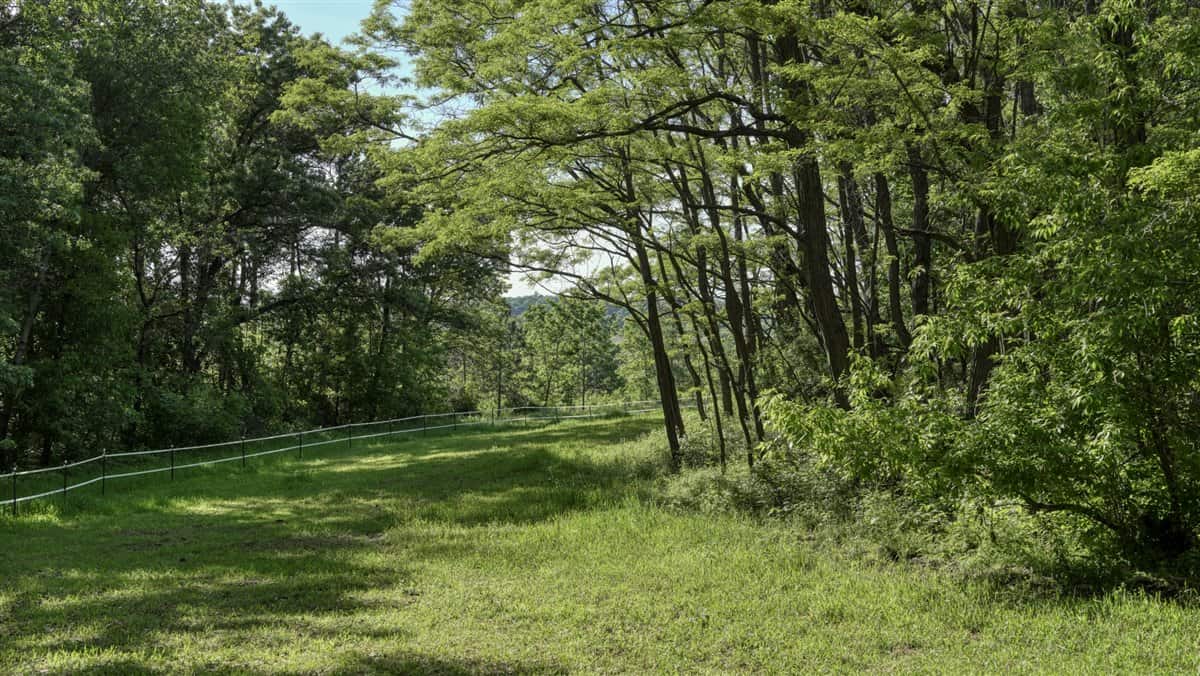 Located in Western Jackson County, WI this 23.55 acres