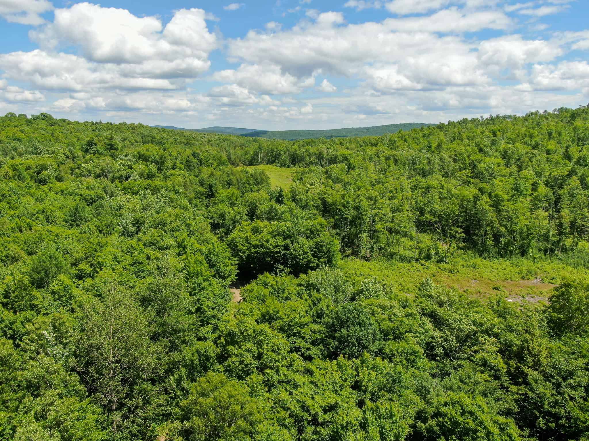 Affordable Maine Timberland Lot