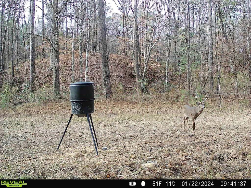 Wilkinson County Land for Sale Bordering National Forest