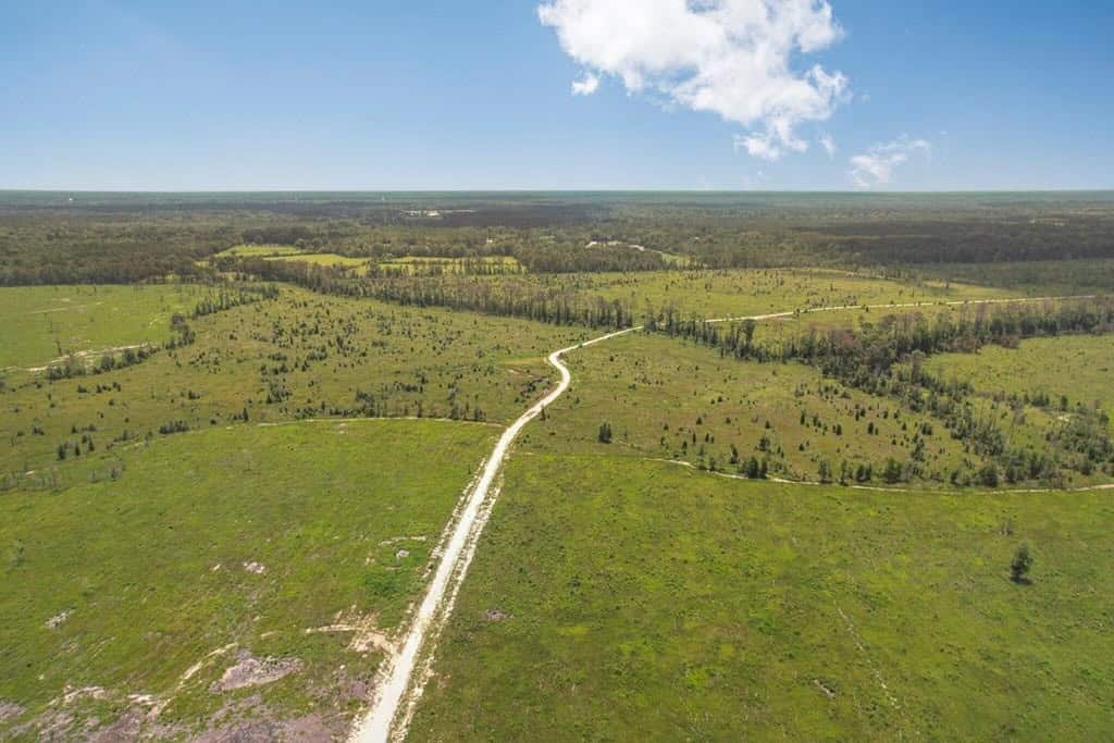 Land for Sale in Tangipahoa Parish, LA.