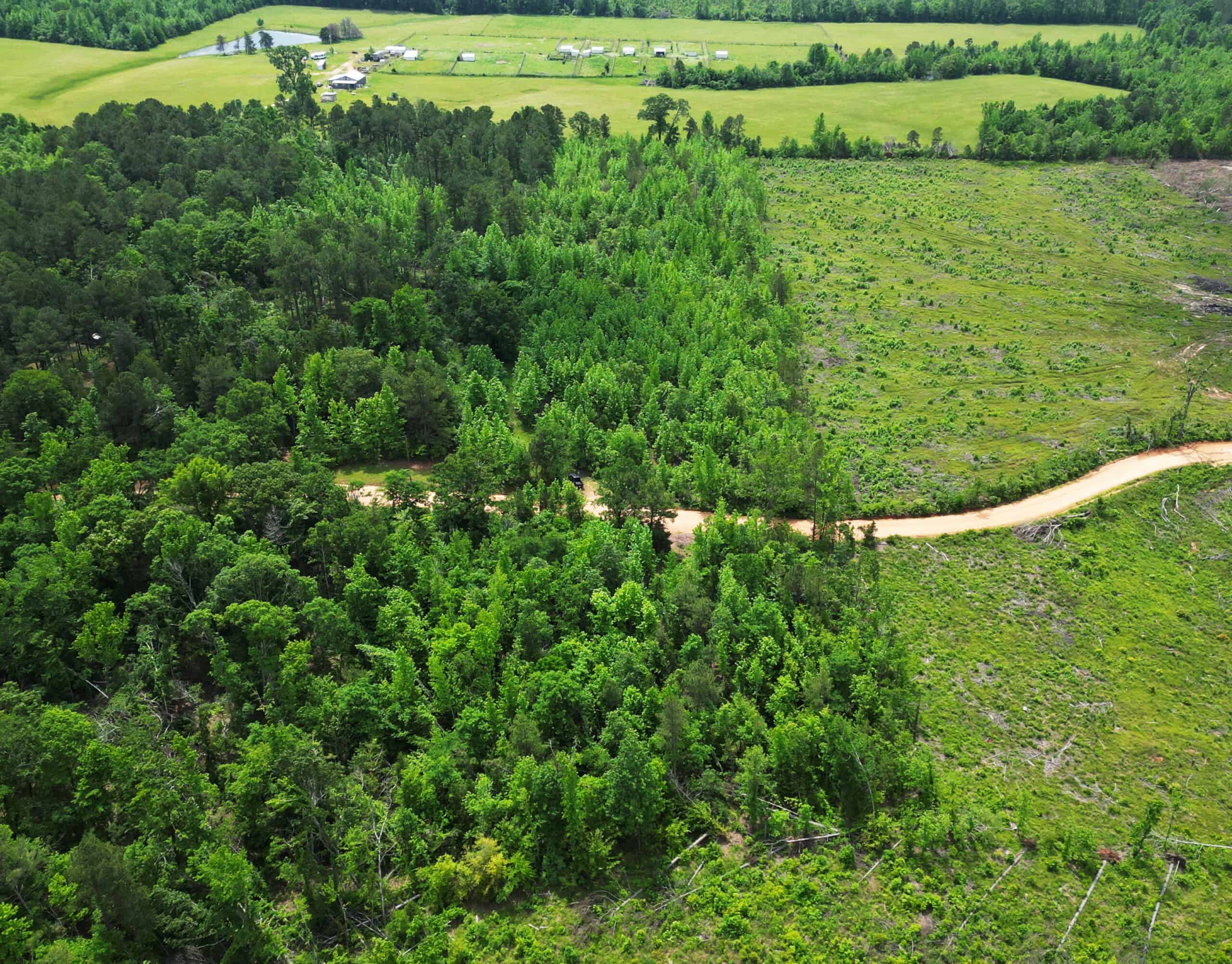 Excellent Hunting Land in Miller County