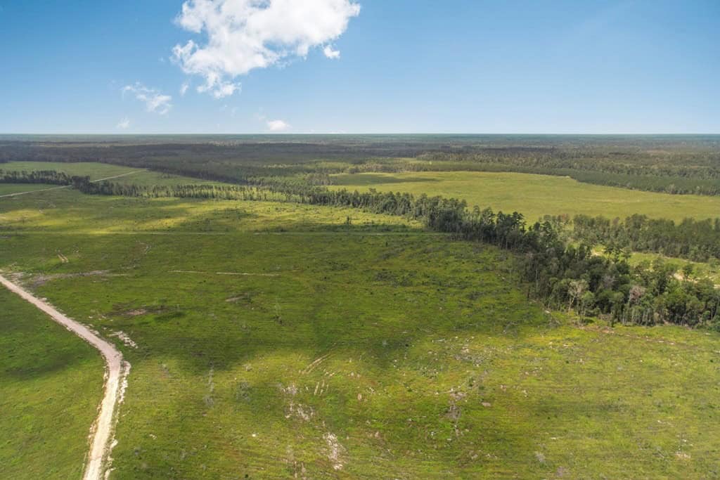 Land for Sale in Tangipahoa Parish, LA.