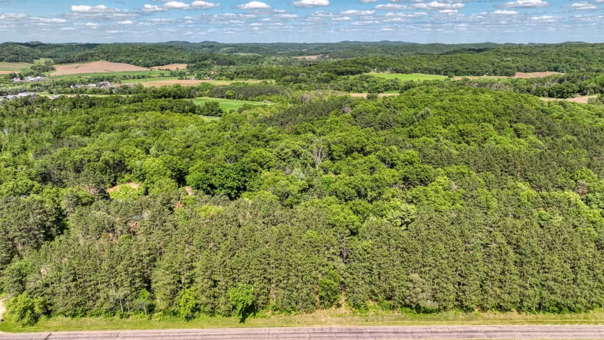 Western Jackson County, WI 11.77 Timbered Acre