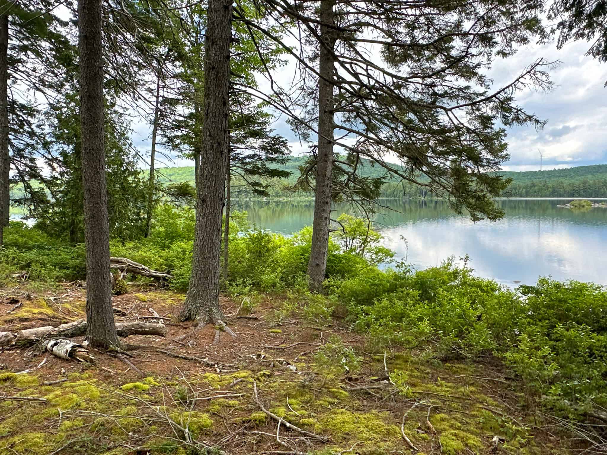 Maine Lakefront Land