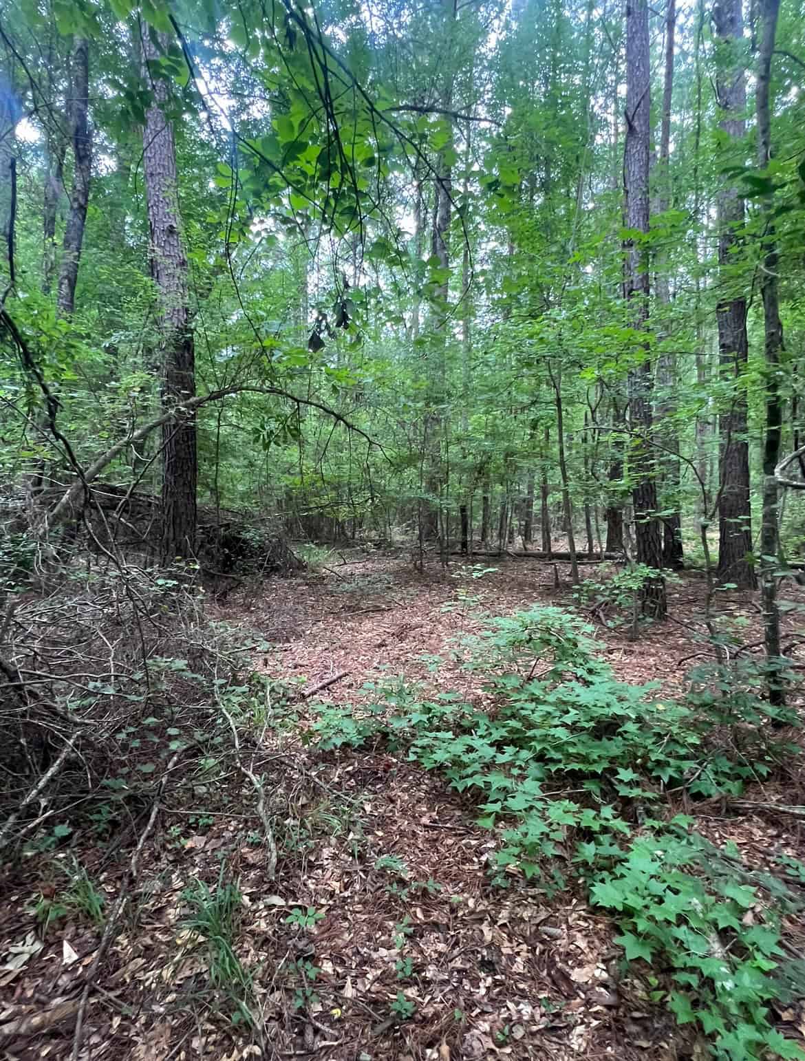 000 Cooper Church Road, Leesville, Louisiana