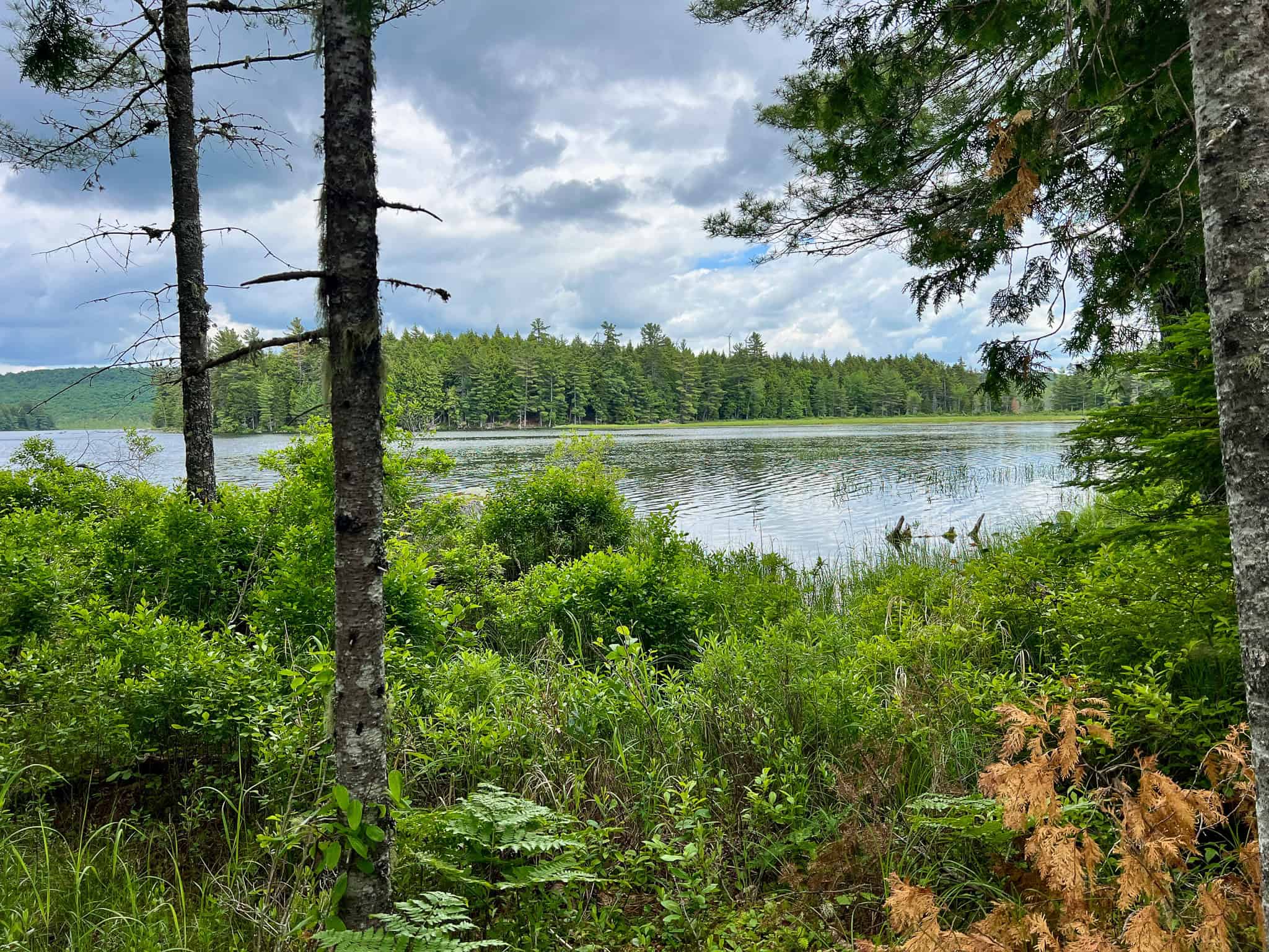 Maine Lakefront Land
