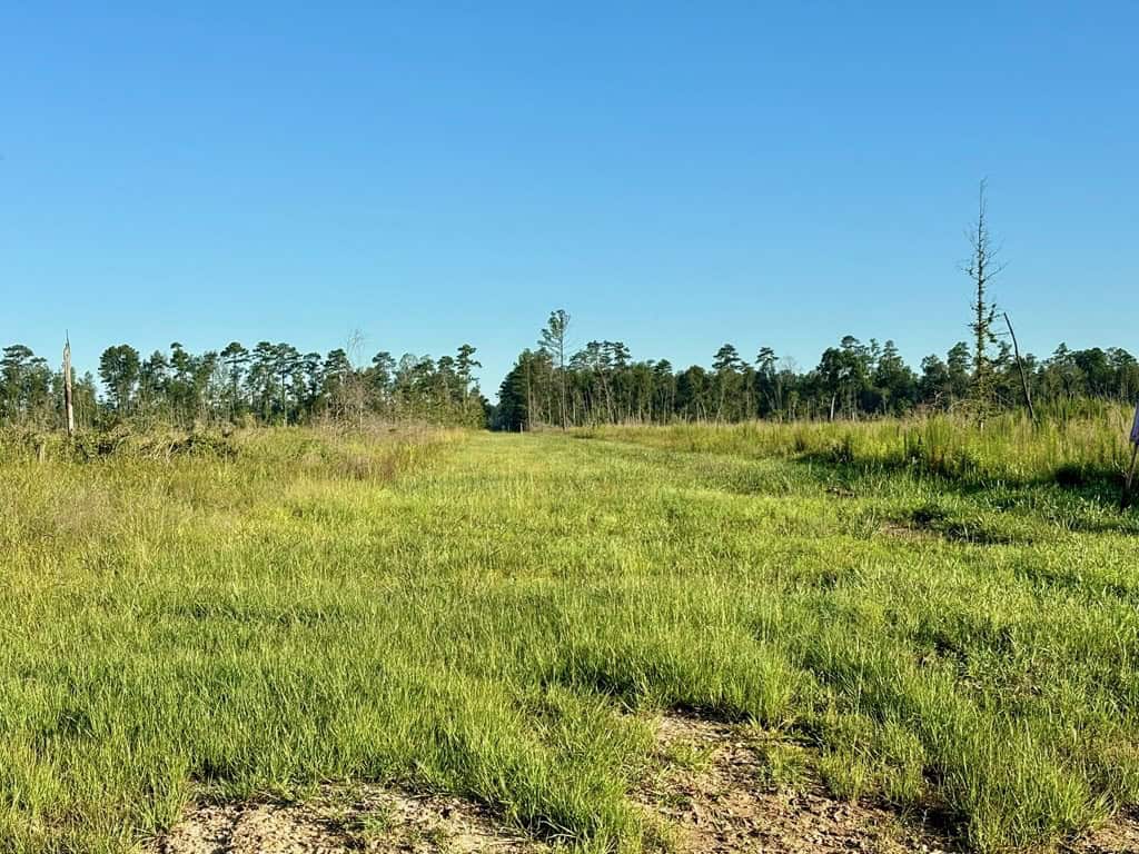 Land for Sale in Tangipahoa Parish, LA.