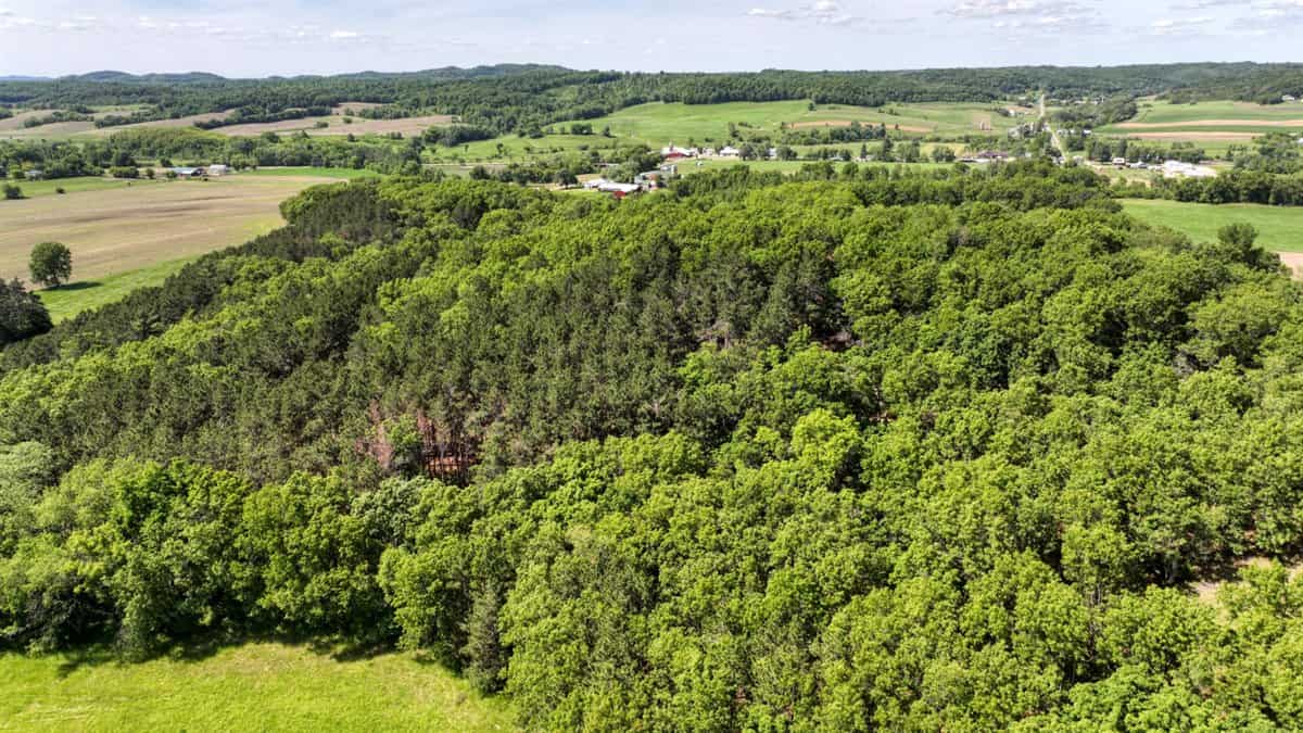 Western Jackson County, WI 11.77 Timbered Acre