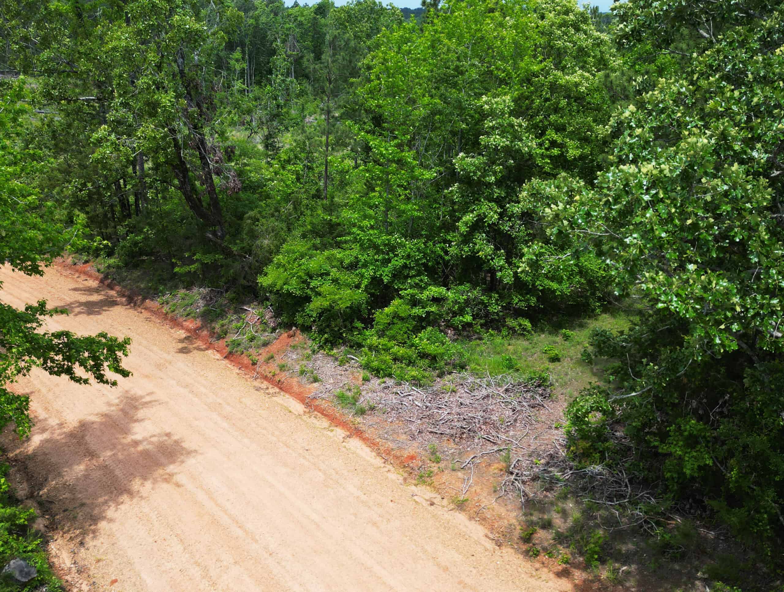 Excellent Hunting Land in Miller County