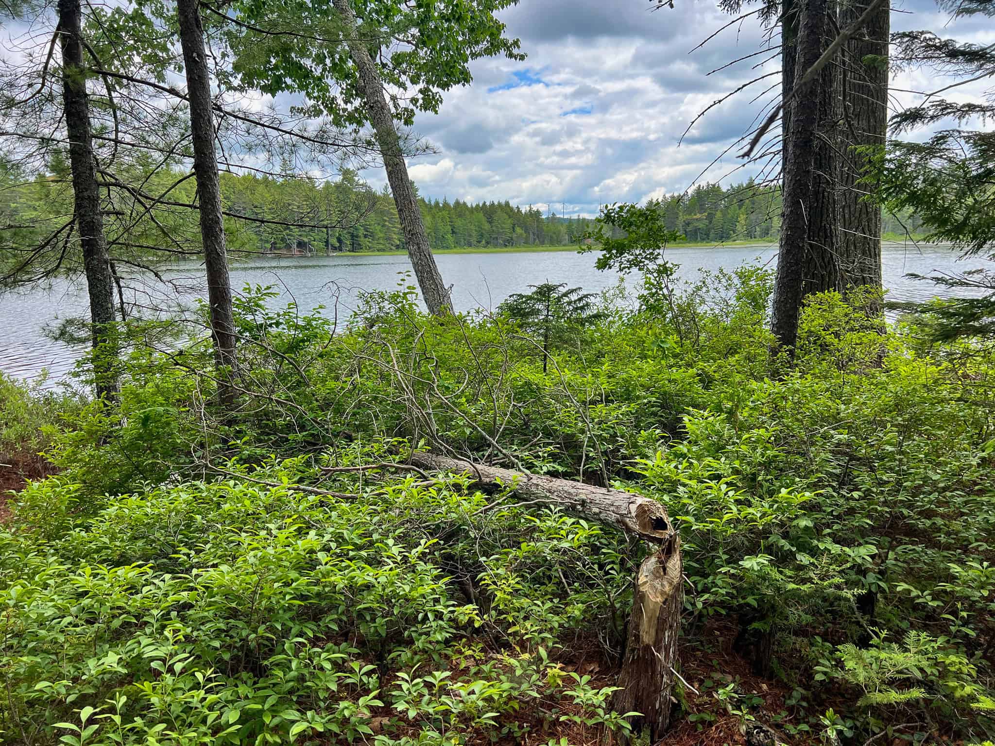Maine Lakefront Land