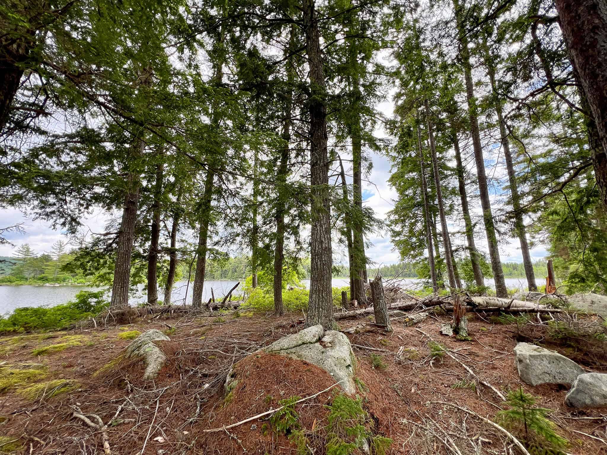 Maine Lakefront Land