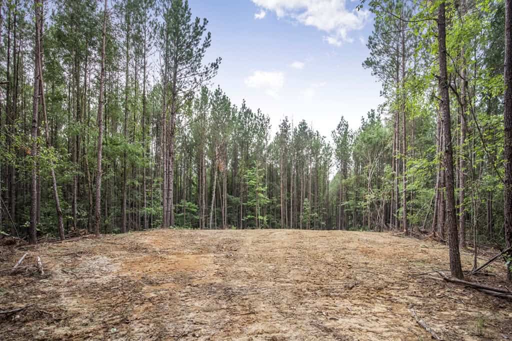 Wilkinson County Land for Sale Bordering National Forest