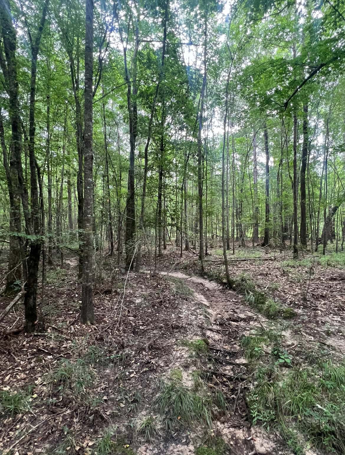 000 Cooper Church Road, Leesville, Louisiana