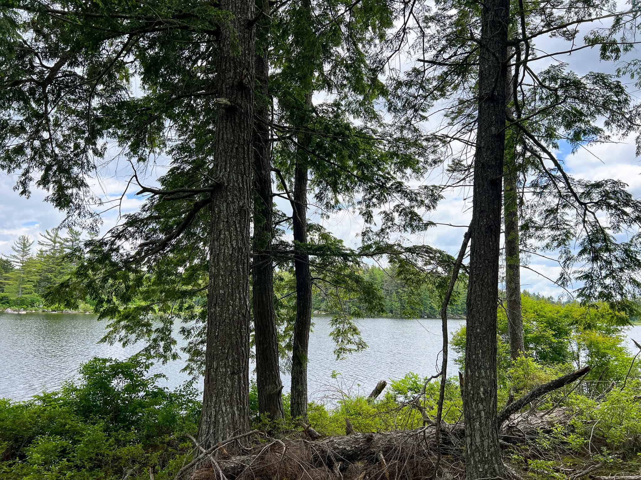 Maine Lakefront Land