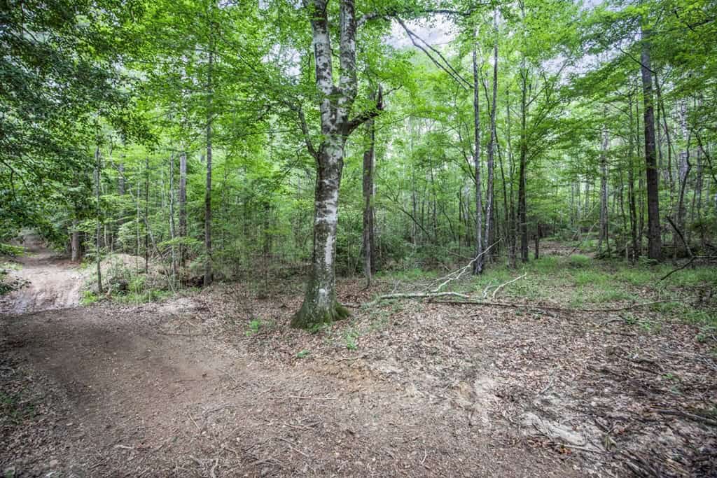 Wilkinson County Land for Sale Bordering National Forest