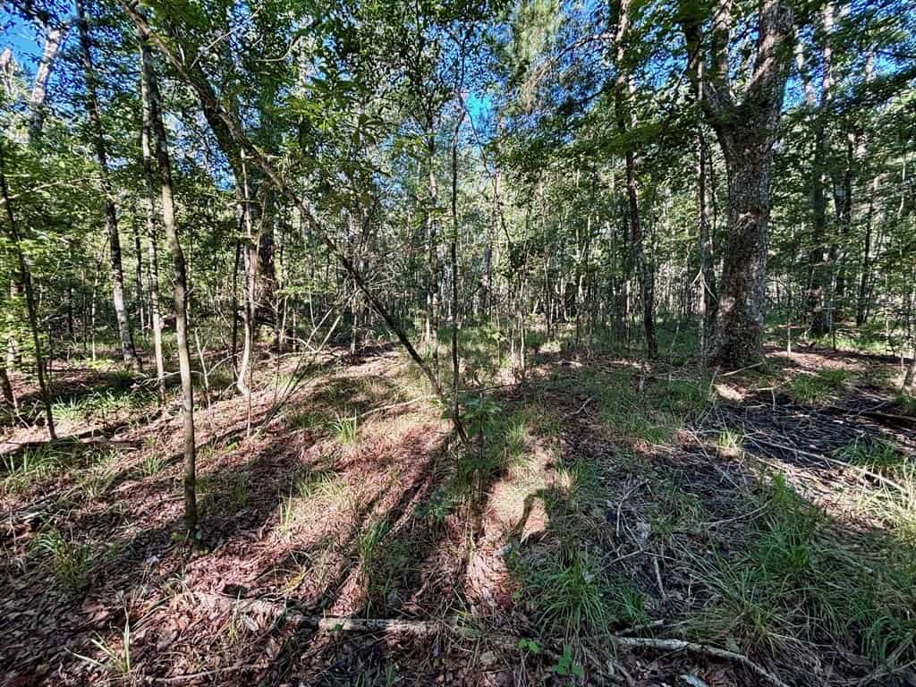 Land for Sale in Tangipahoa Parish, LA.