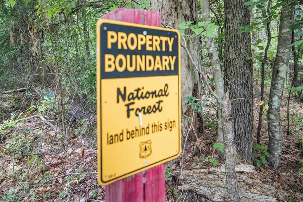 Wilkinson County Land for Sale Bordering National Forest