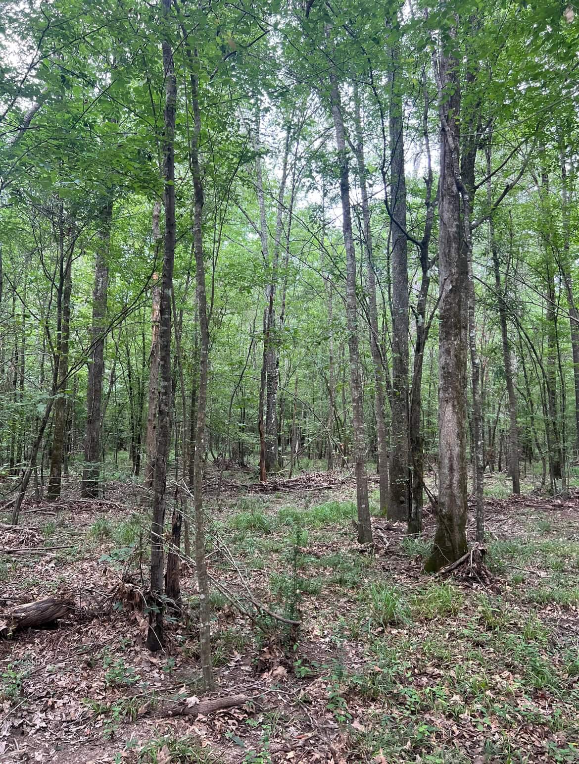 000 Cooper Church Road, Leesville, Louisiana