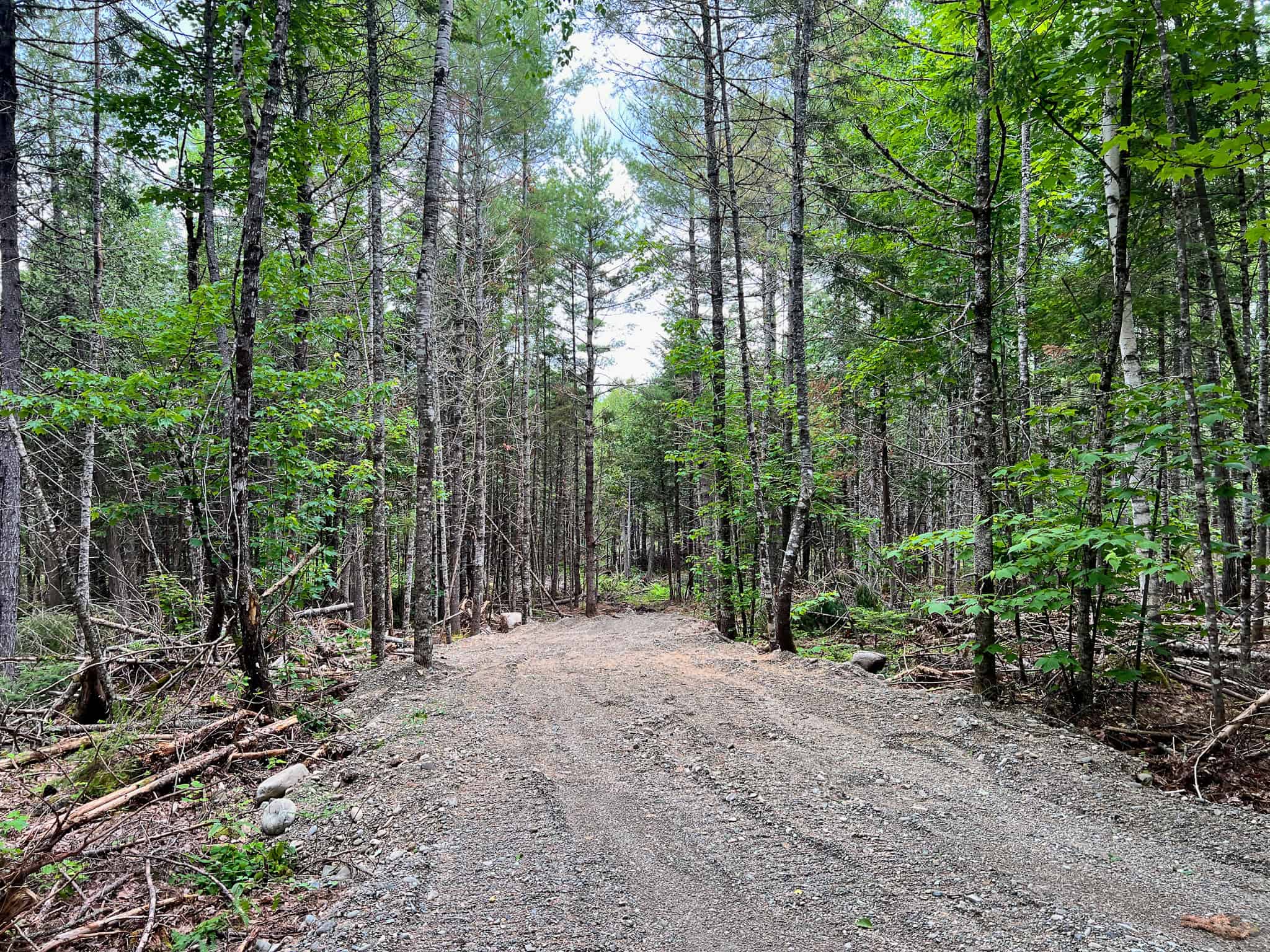Maine Lakefront Land