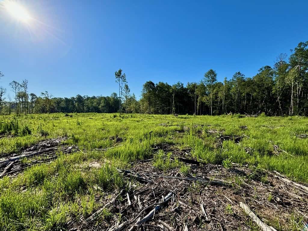 Land for Sale in Tangipahoa Parish, LA.