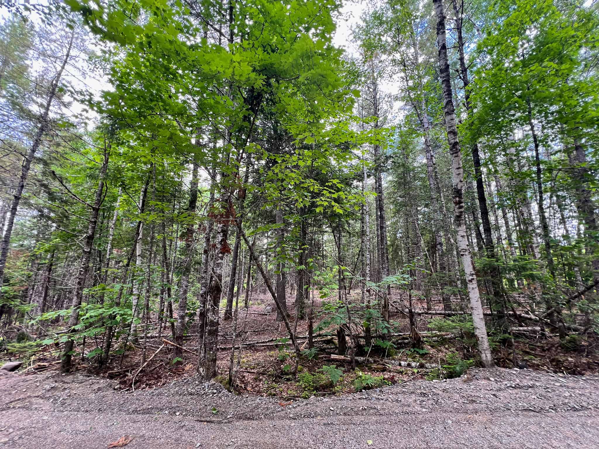 Maine Lakefront Land