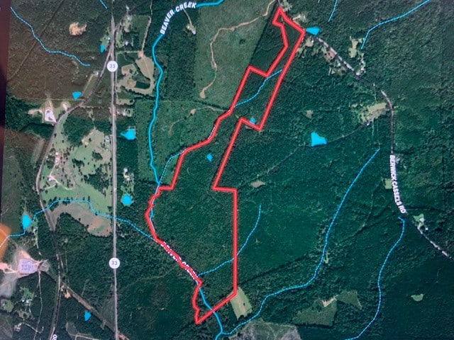 174 Acre Hunting and Timberland Tract For Sale Amite County, Mississippi