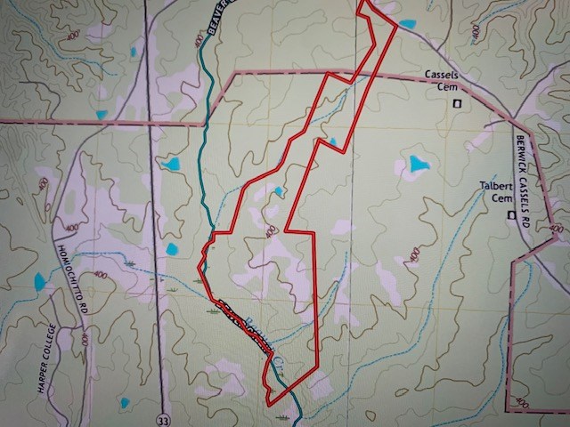 174 Acre Hunting and Timberland Tract For Sale Amite County, Mississippi