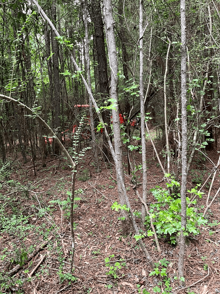 174 Acre Hunting and Timberland Tract For Sale Amite County, Mississippi
