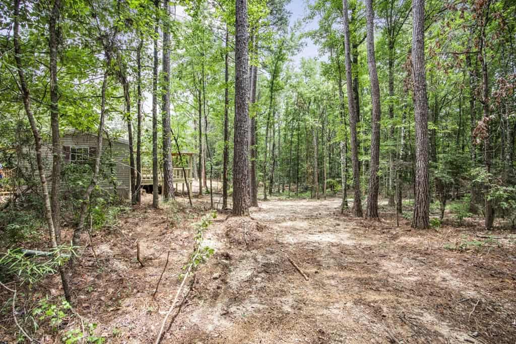 Wilkinson County Land for Sale Bordering National Forest