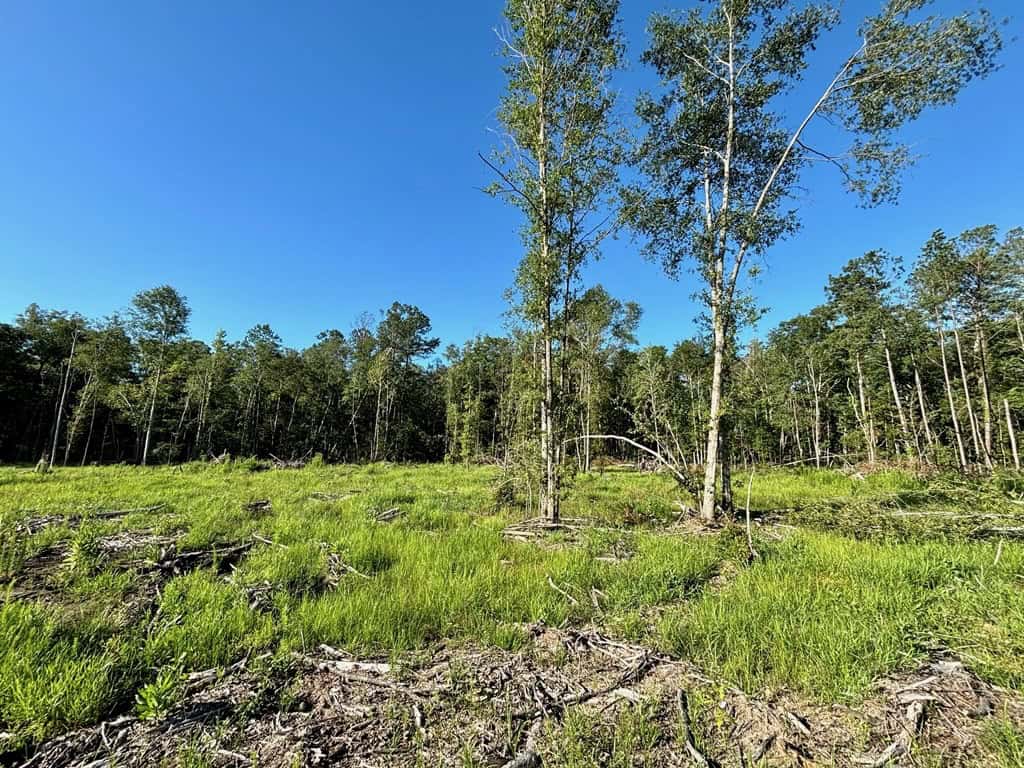 Land for Sale in Tangipahoa Parish, LA.