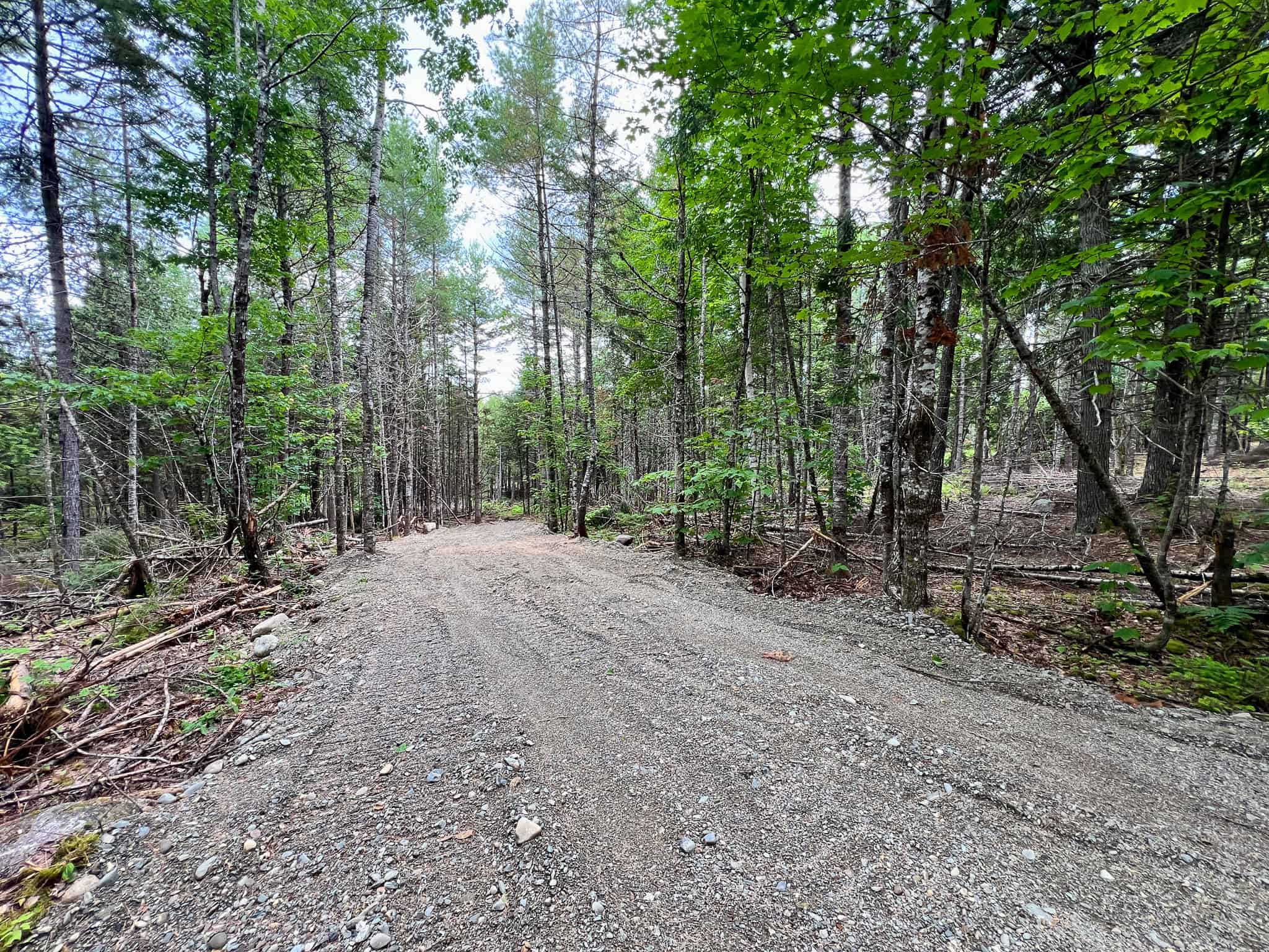 Maine Lakefront Land