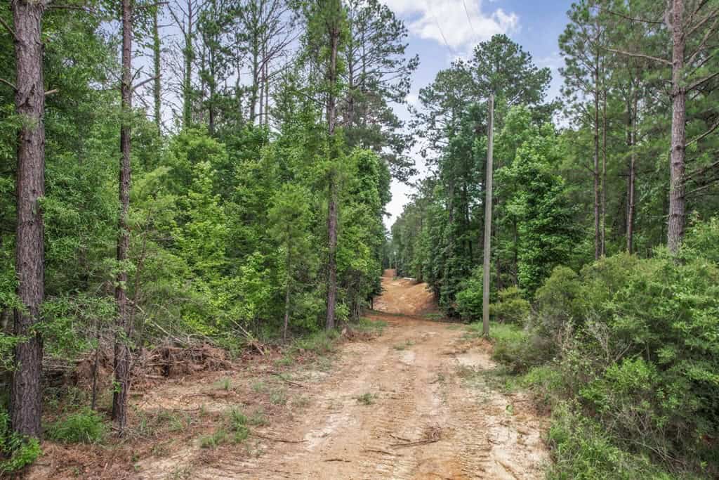Wilkinson County Land for Sale Bordering National Forest