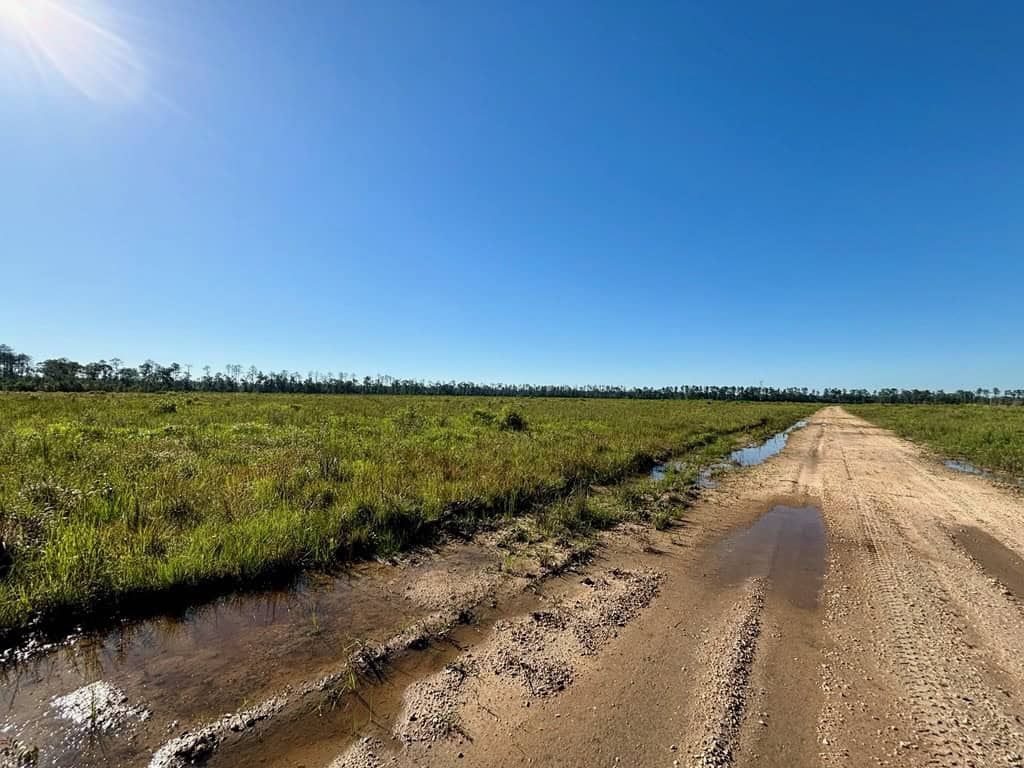 Land for Sale in Tangipahoa Parish, LA.