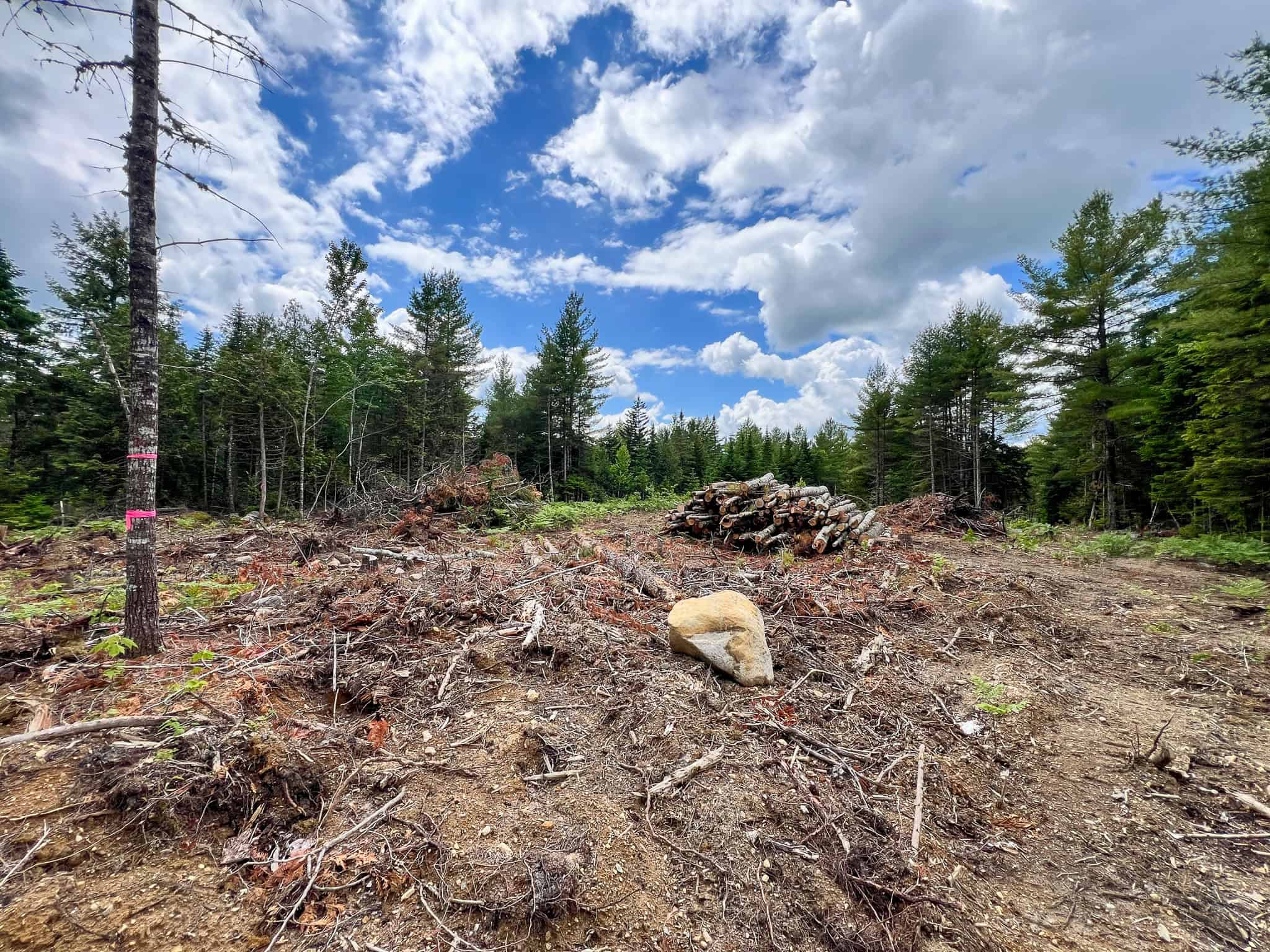 Maine Lakefront Land