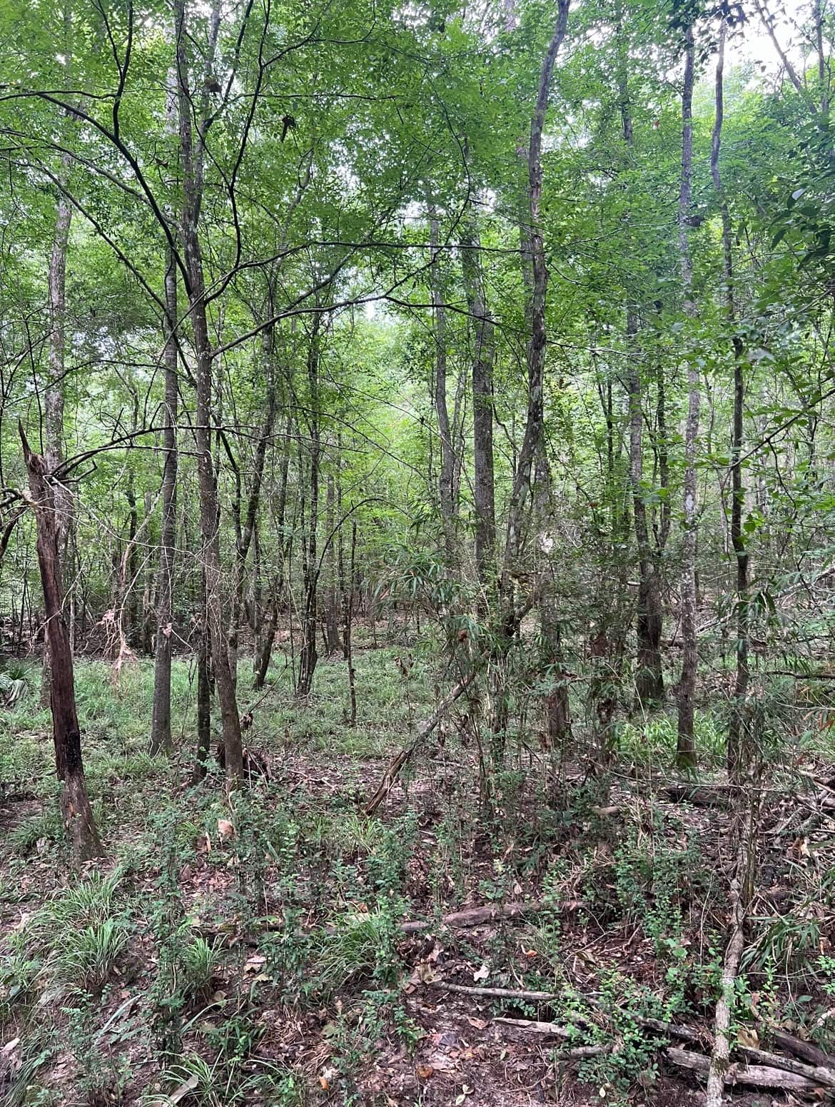 000 Cooper Church Road, Leesville, Louisiana