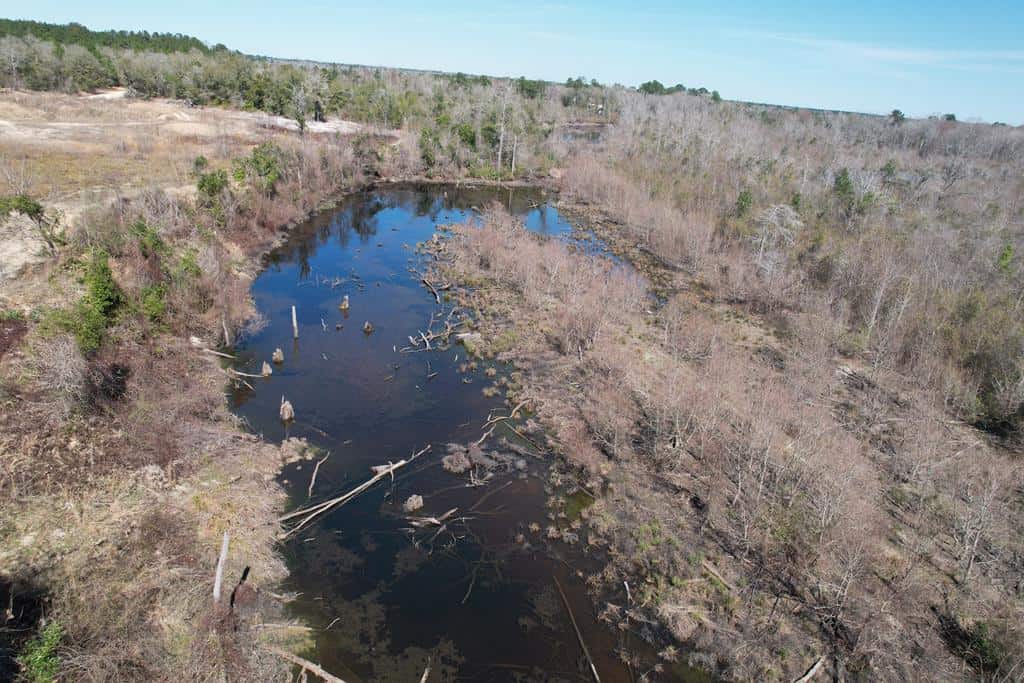 196 Acre Lakefront Property For Sale Forrest County, Petal Mississippi