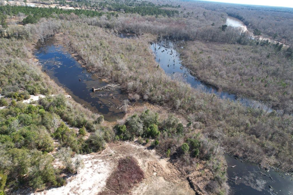 196 Acre Lakefront Property For Sale Forrest County, Petal Mississippi