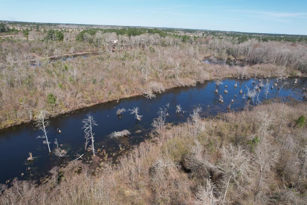 196 Acre Lakefront Property For Sale Forrest County, Petal Mississippi