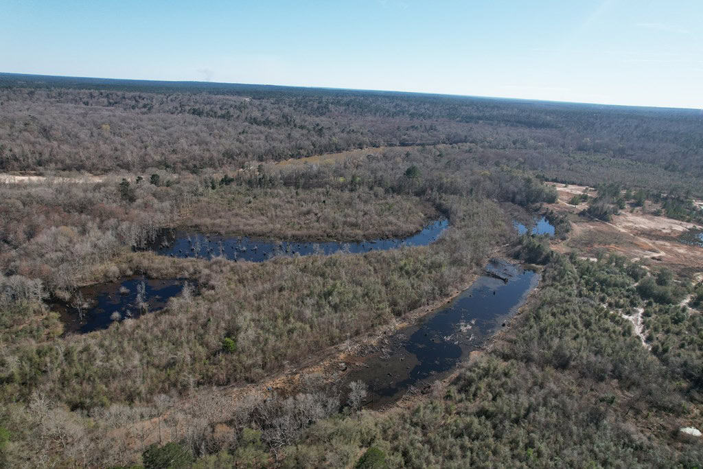196 Acre Lakefront Property For Sale Forrest County, Petal Mississippi