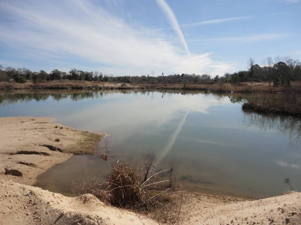 196 Acre Lakefront Property For Sale Forrest County, Petal Mississippi