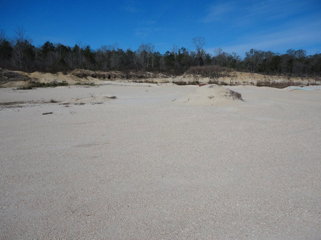 196 Acre Lakefront Property For Sale Forrest County, Petal Mississippi