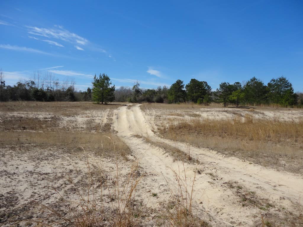 196 Acre Lakefront Property For Sale Forrest County, Petal Mississippi